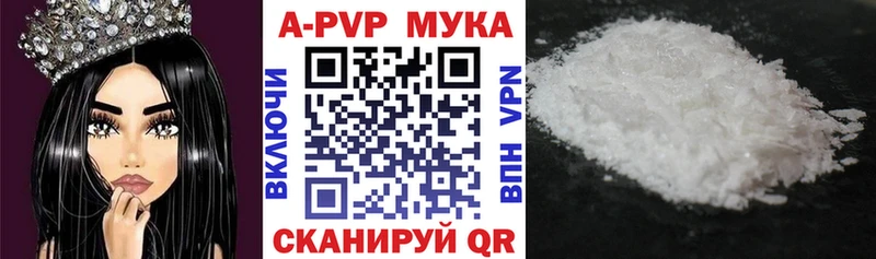 дарнет шоп Октябрьск A PVP крисы CK